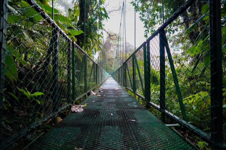 j-amill-santiago-55rZeNdxr-8-unsplash