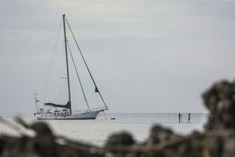 RLR_0560