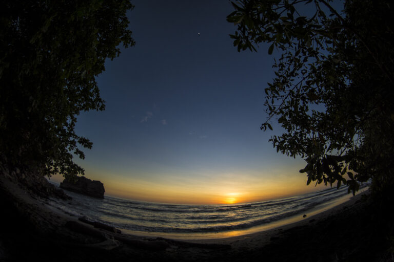RLR_0957